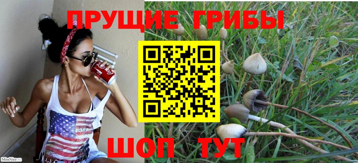 Псилоцибиновые грибы Cubensis Вязьма