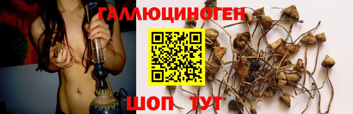 Вязьма  Псилоцибиновые грибы ЛСД  Вход с VPN 