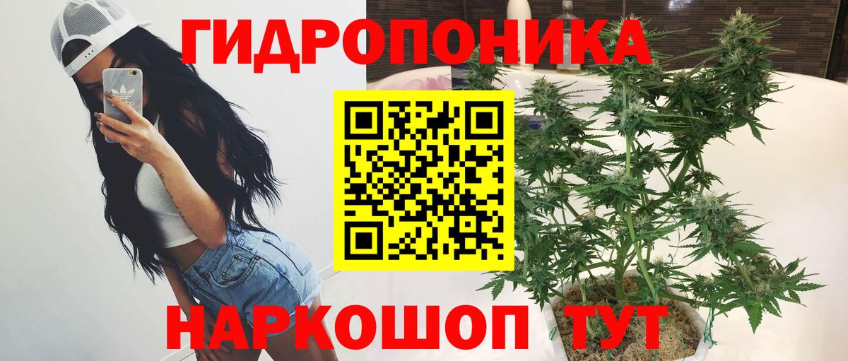 Бошки Шишки SATIVA & INDICA Вязьма